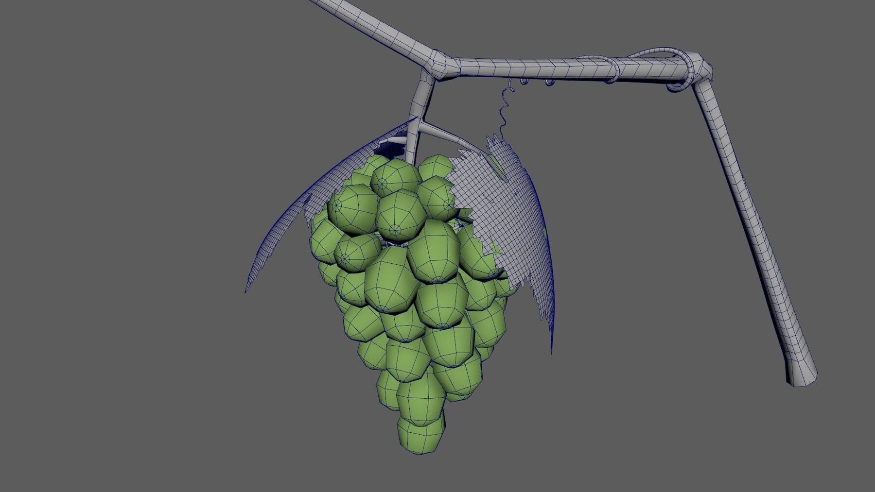 Grap Grow 3D model_4