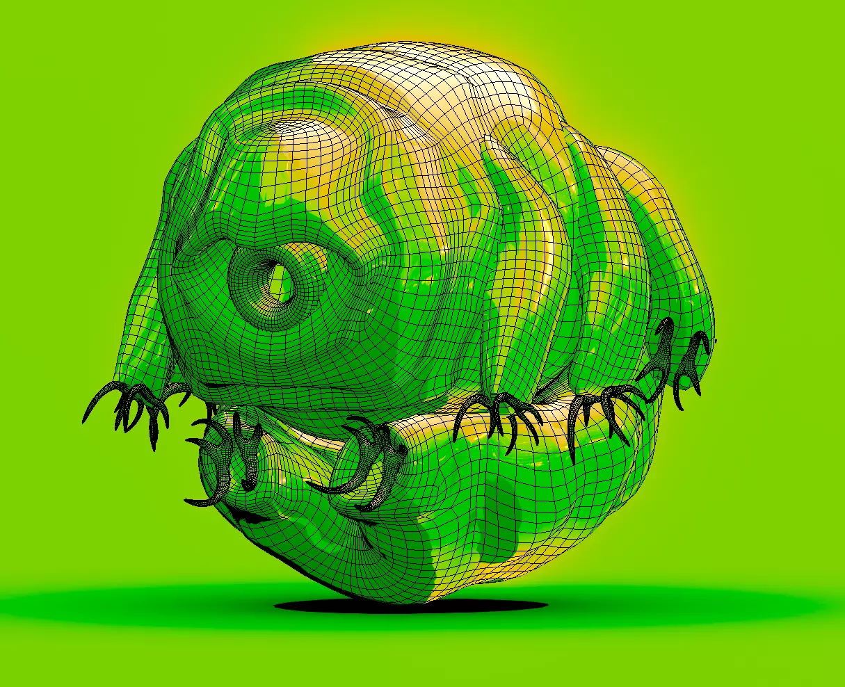 Embryonic Tardigrade 3D model