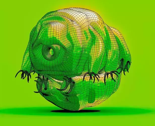 Embryonic Tardigrade  3D model