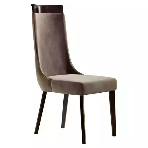 COLISEUM chair by Giorgiocollection