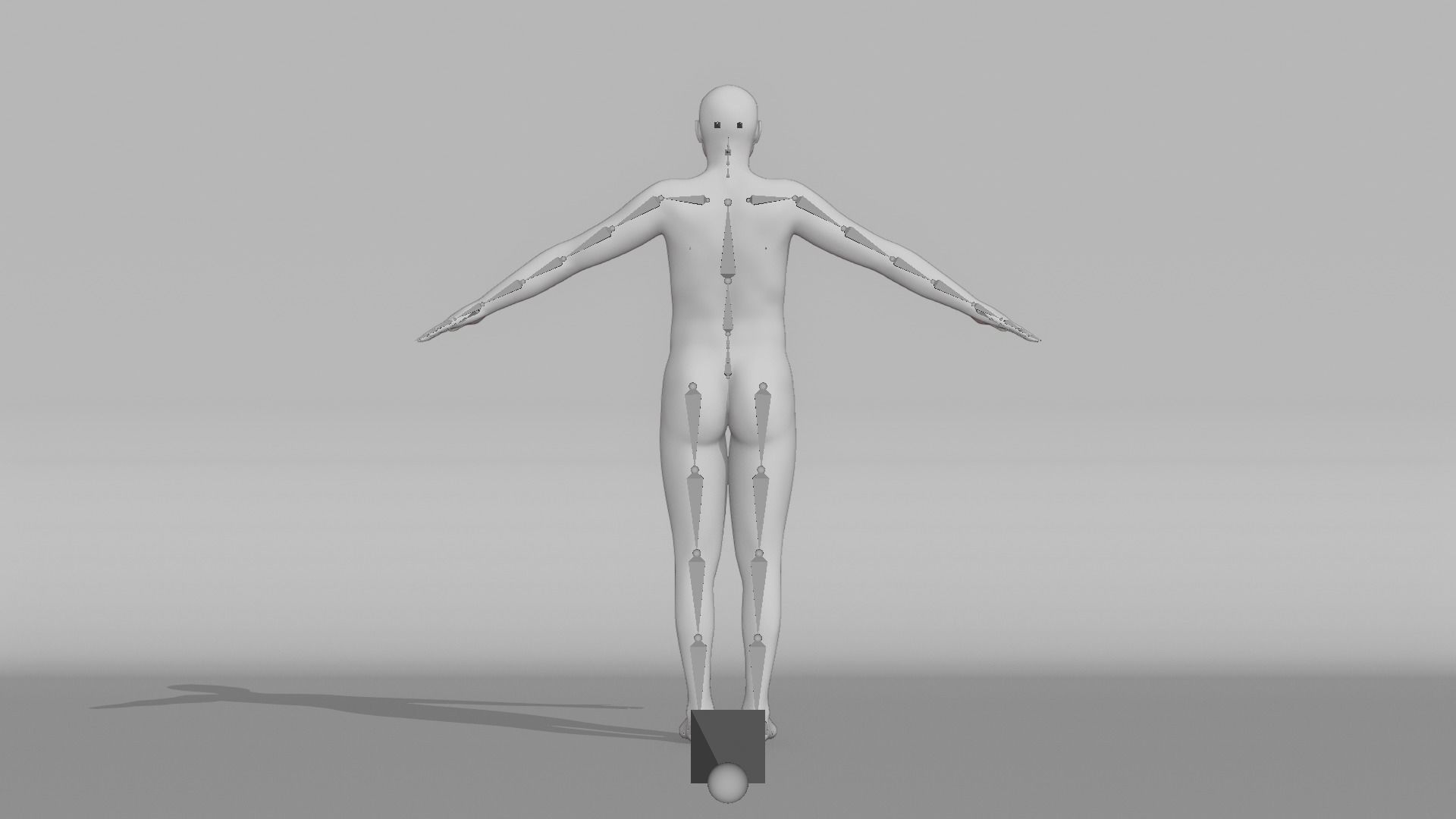 Realistic Male - Shaun-Lee 3D model_13