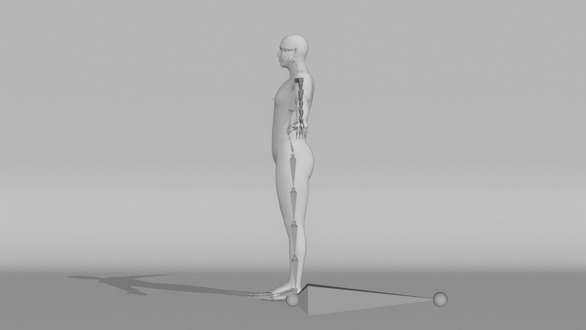 Realistic Male - Shaun-Lee 3D model_14