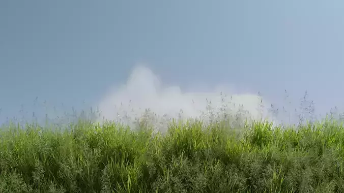 Animated VDB Cumulus Cloud 3D model