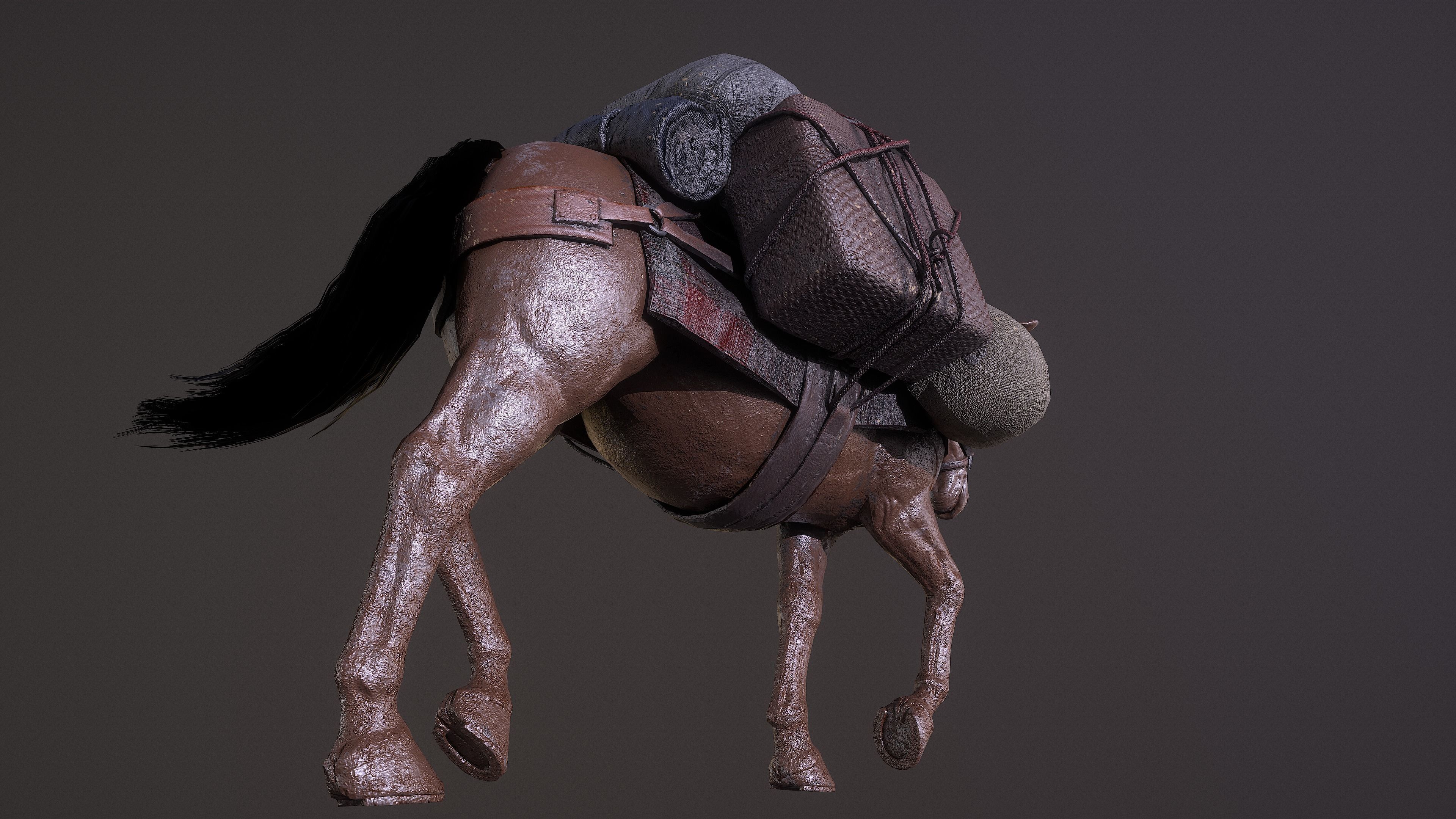 Mule  A Tale of Endurance and Adaptability Low-poly 3D model_9