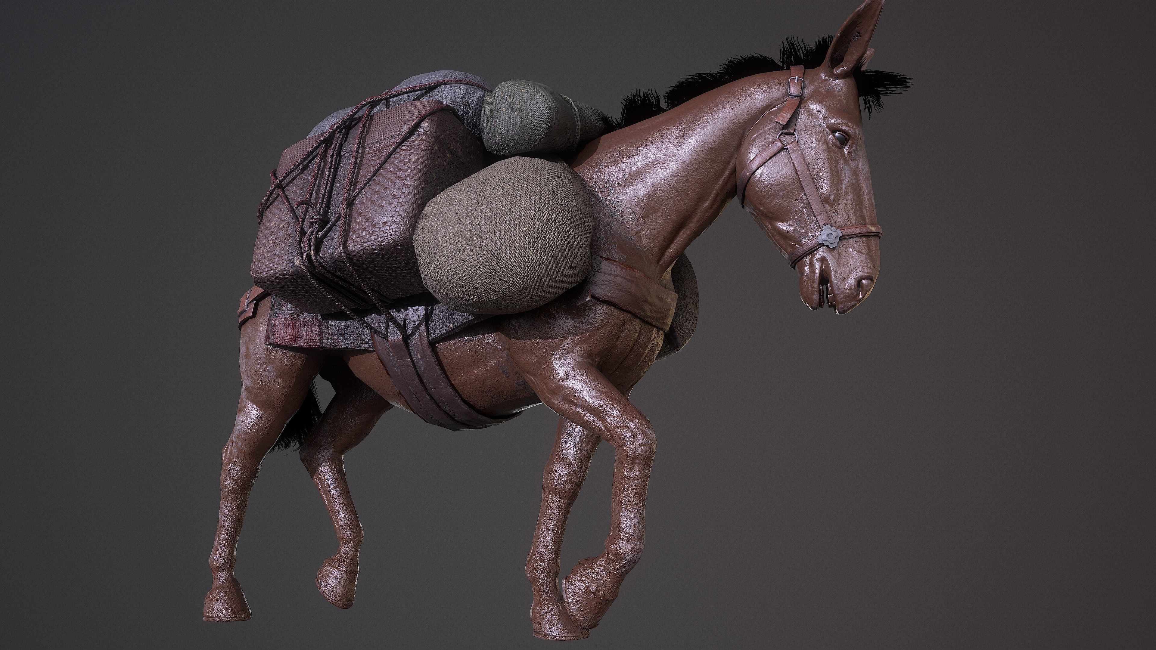 Mule  A Tale of Endurance and Adaptability Low-poly 3D model_13