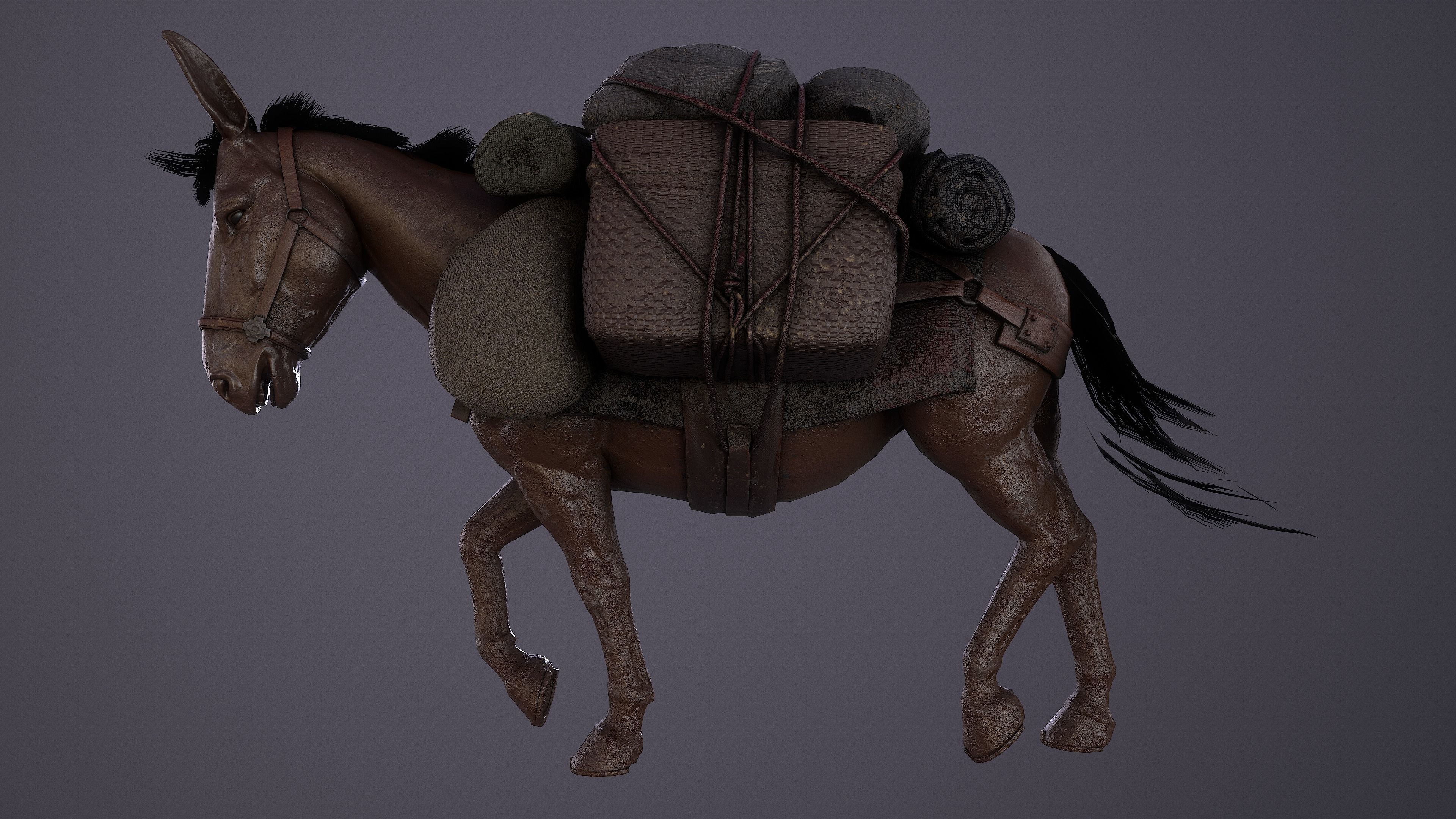 Mule  A Tale of Endurance and Adaptability Low-poly 3D model_11