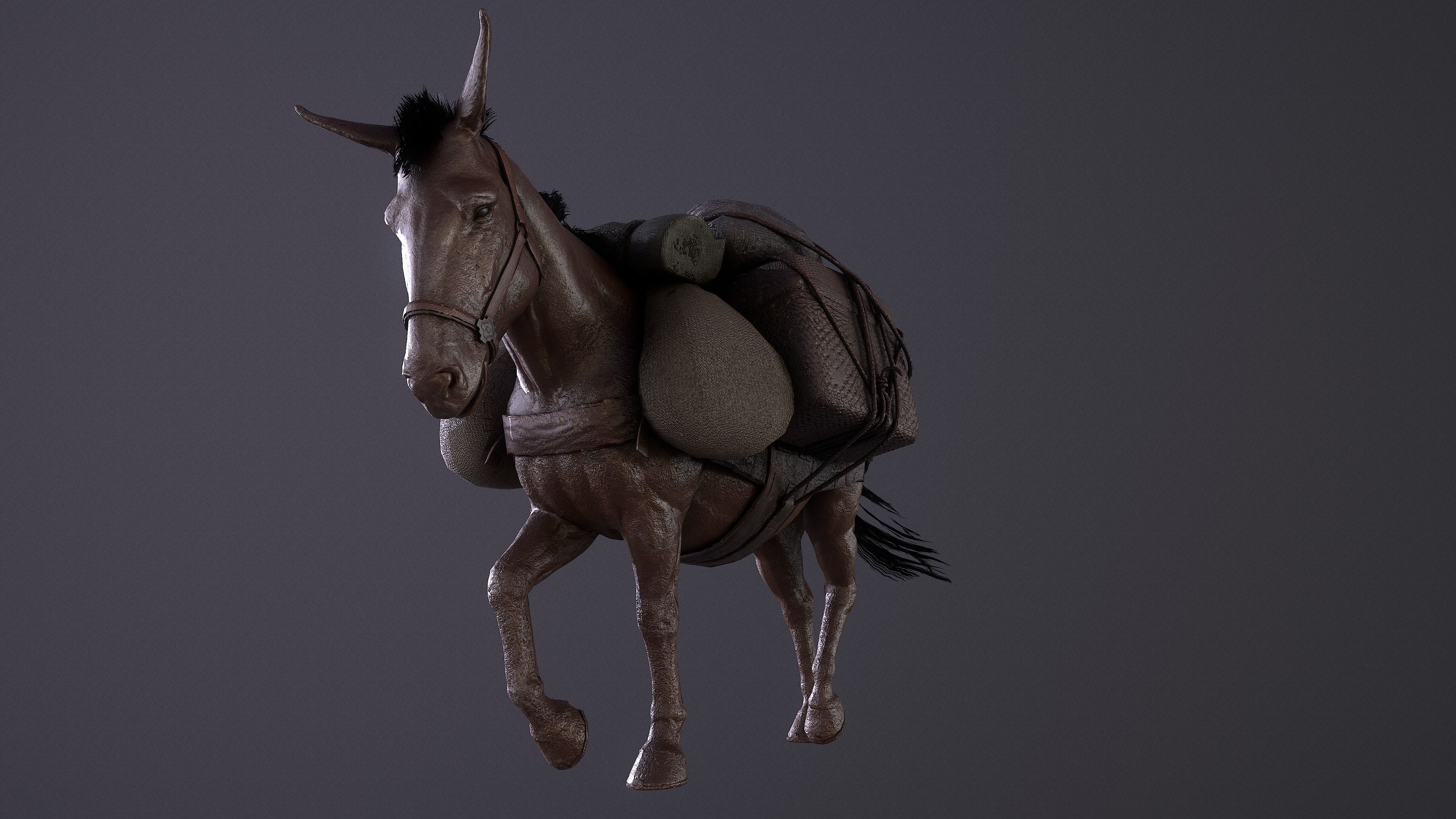 Mule  A Tale of Endurance and Adaptability Low-poly 3D model_8
