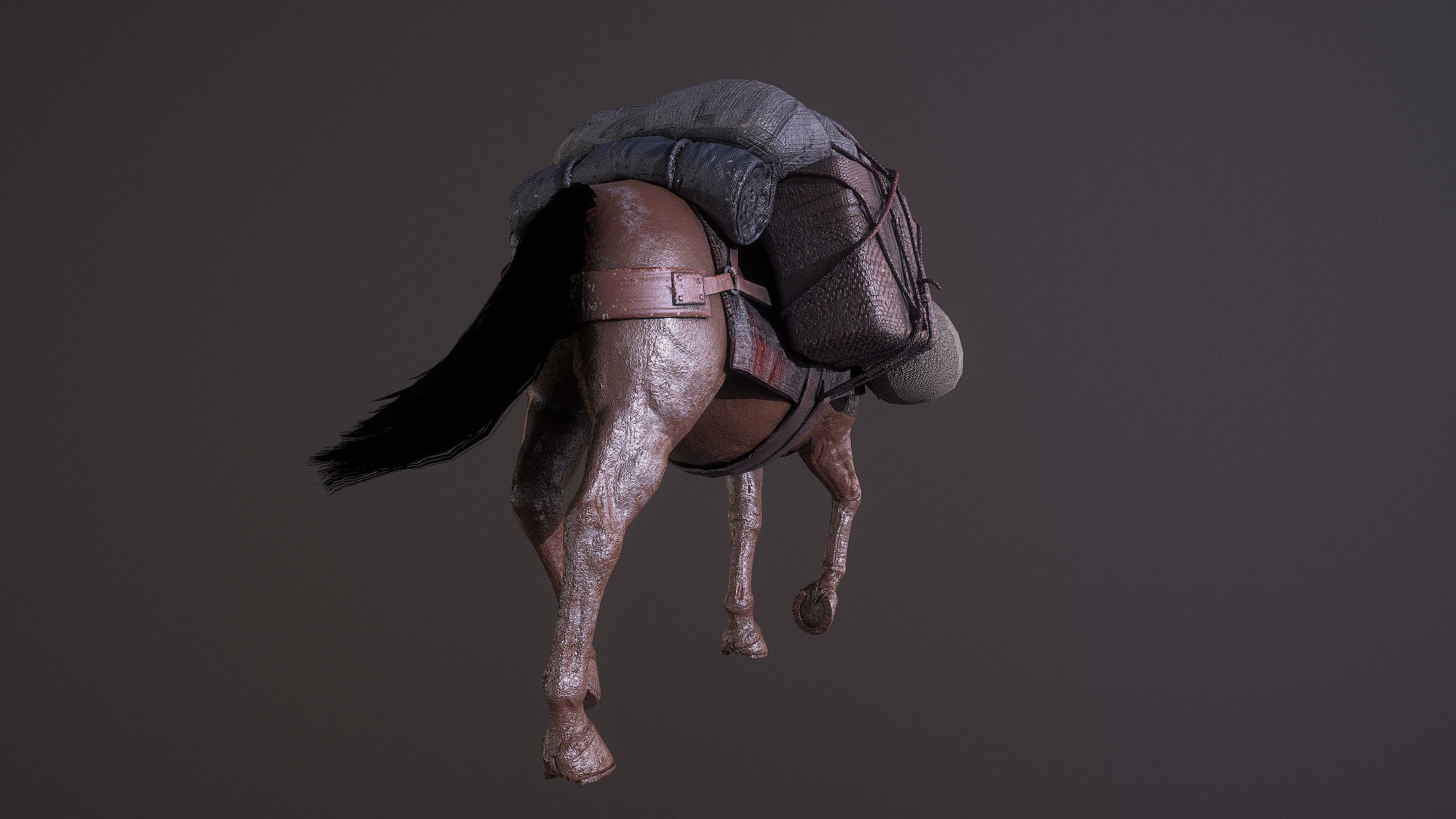 Mule  A Tale of Endurance and Adaptability Low-poly 3D model_12