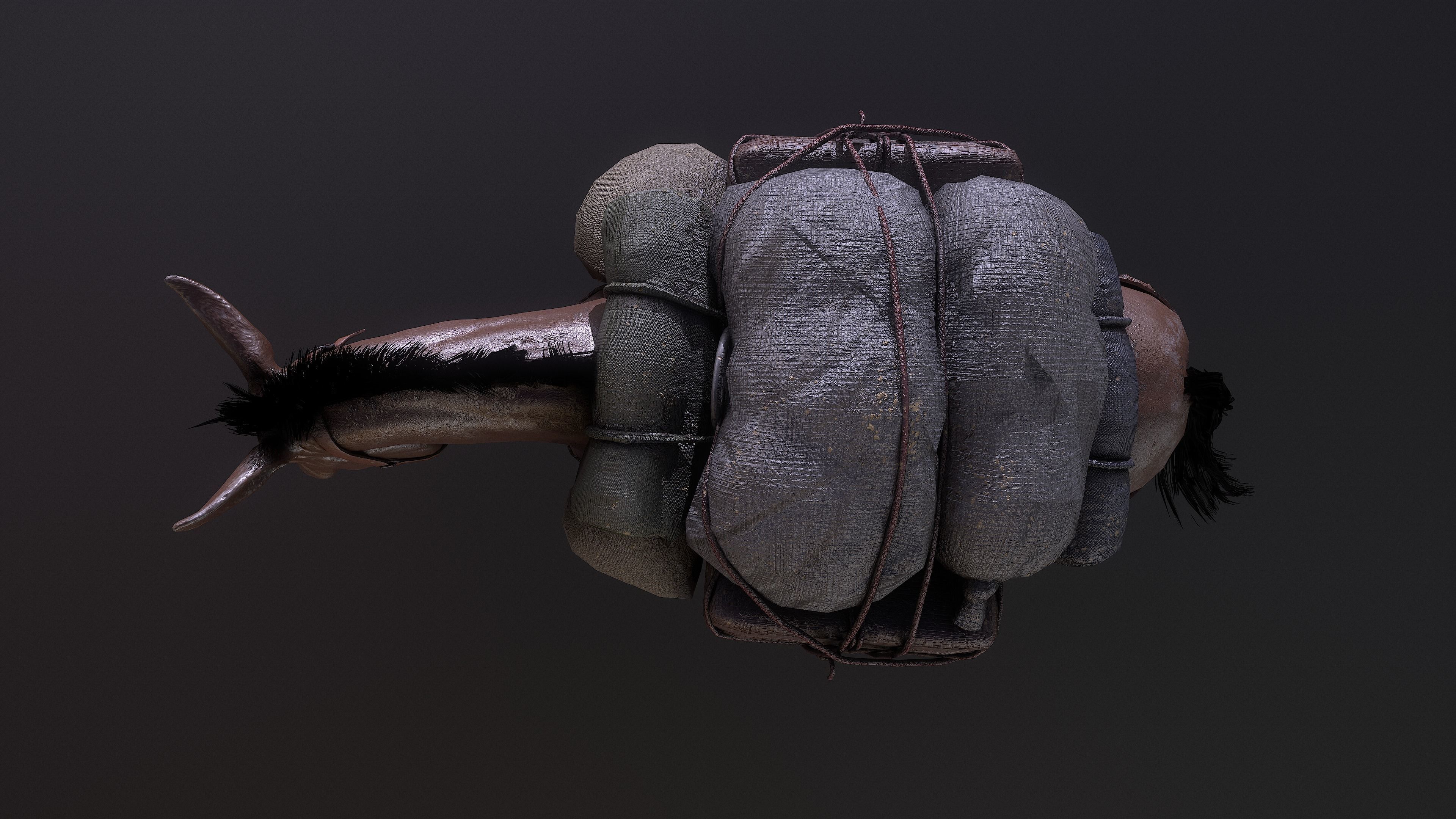 Mule  A Tale of Endurance and Adaptability Low-poly 3D model_14