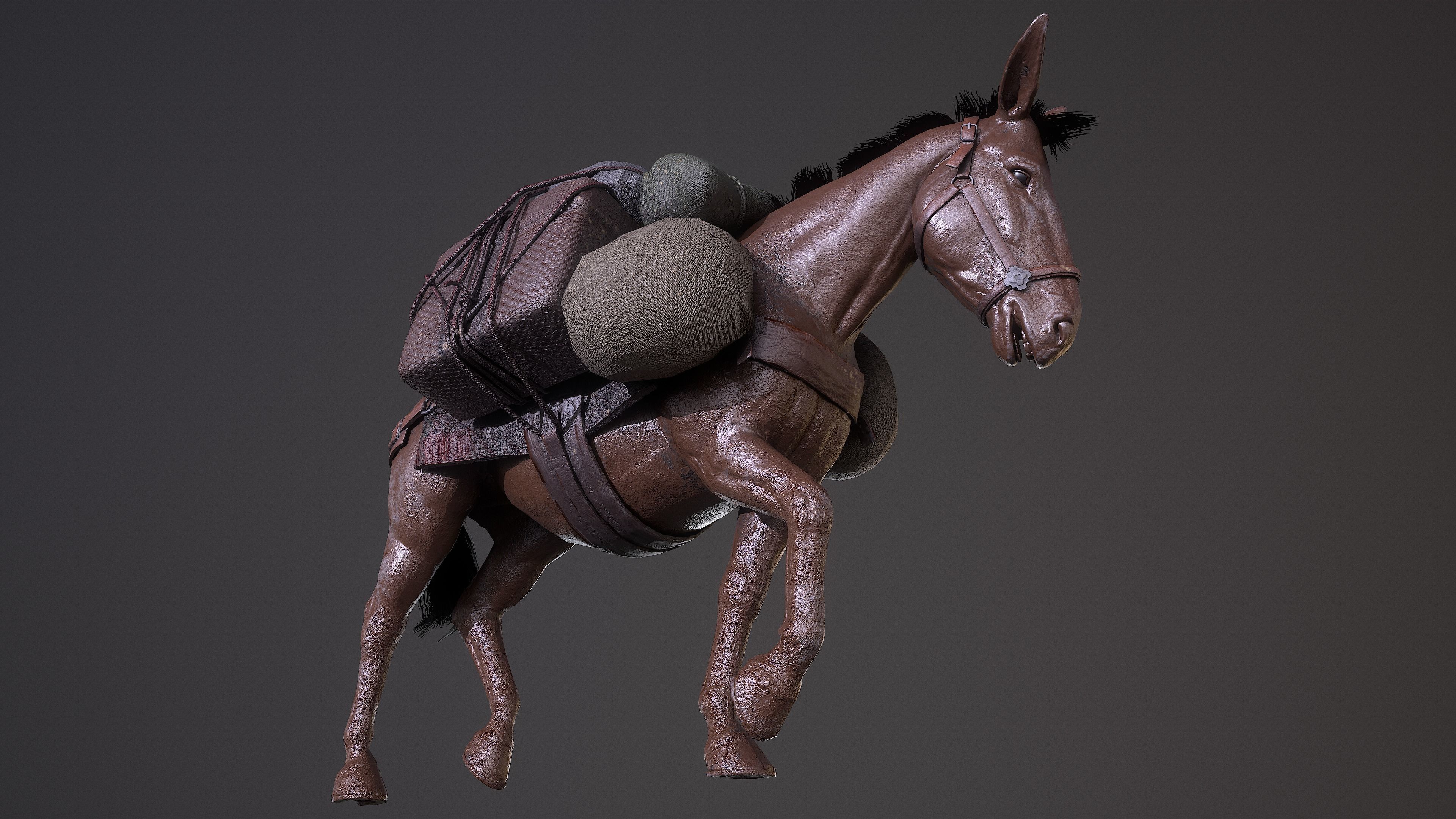 Mule  A Tale of Endurance and Adaptability Low-poly 3D model_7
