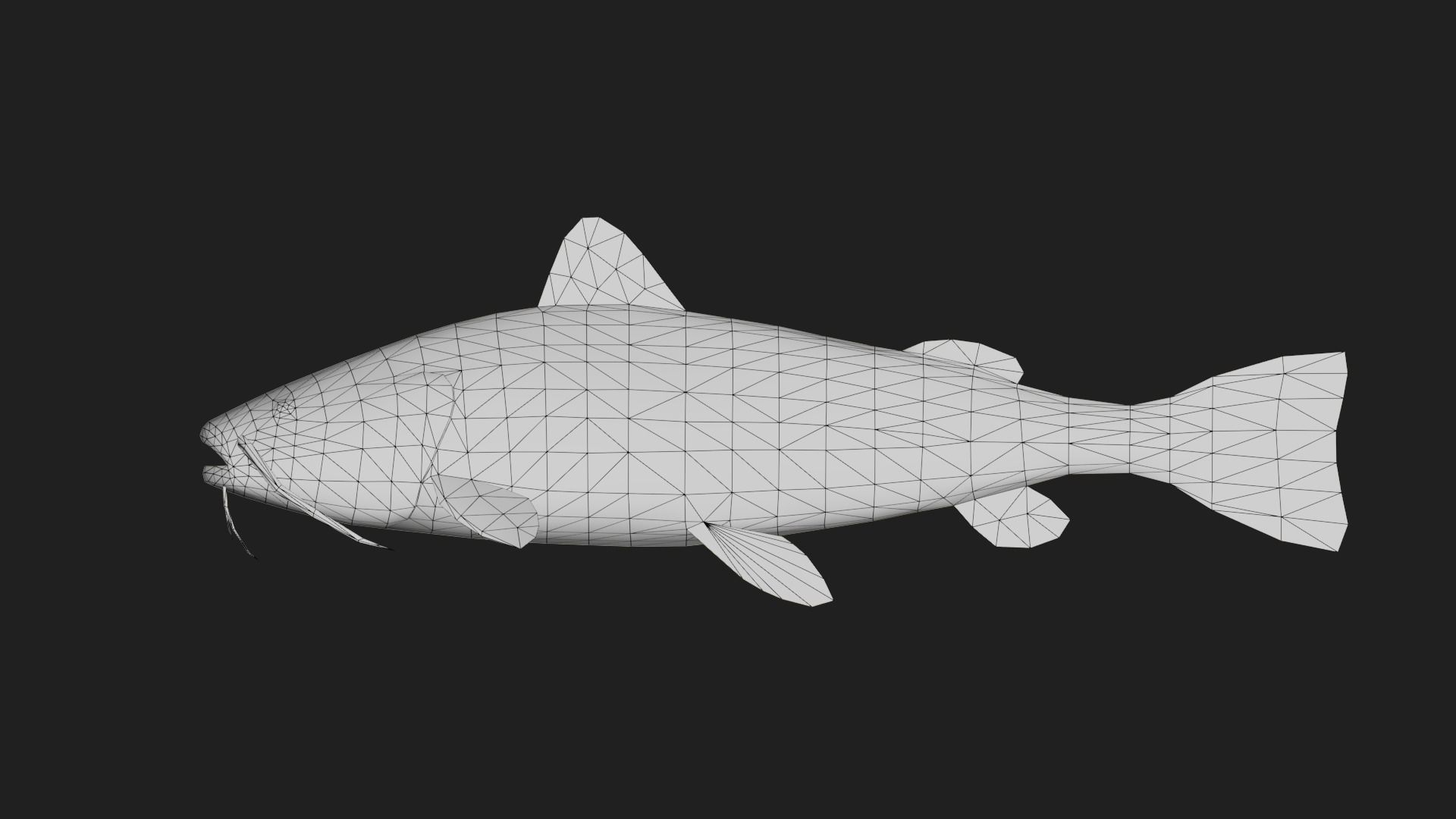 Catfish Low-poly 3D model_1