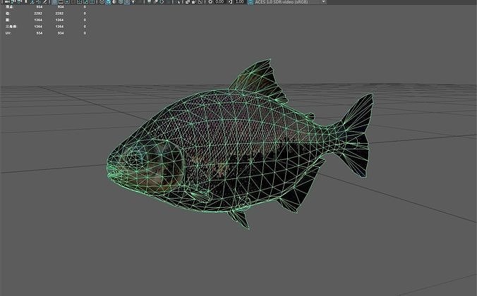 Tambaqui Low-poly 3D model 3