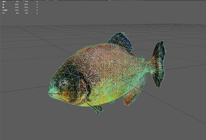 Redpiranha Low-poly 3D model 3