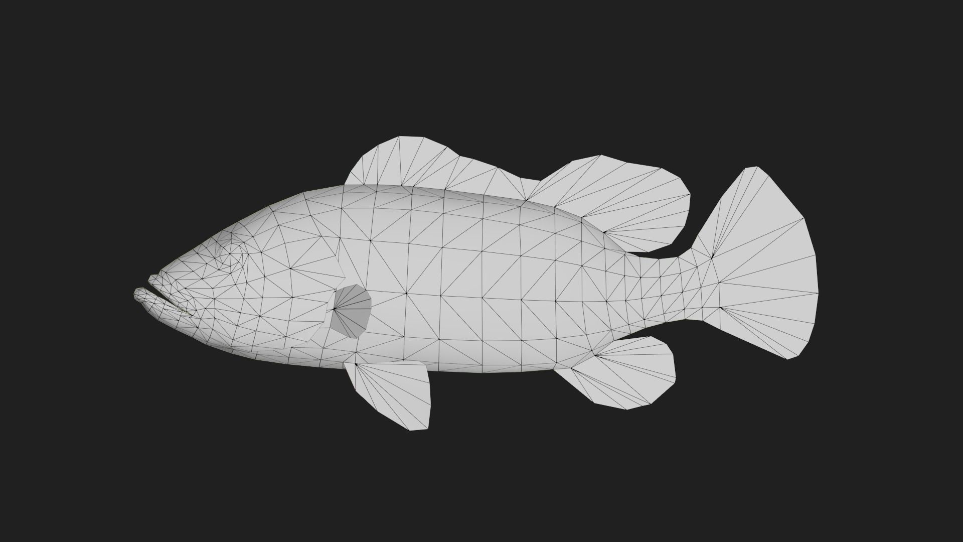 Bass fish Low-poly 3D model_1