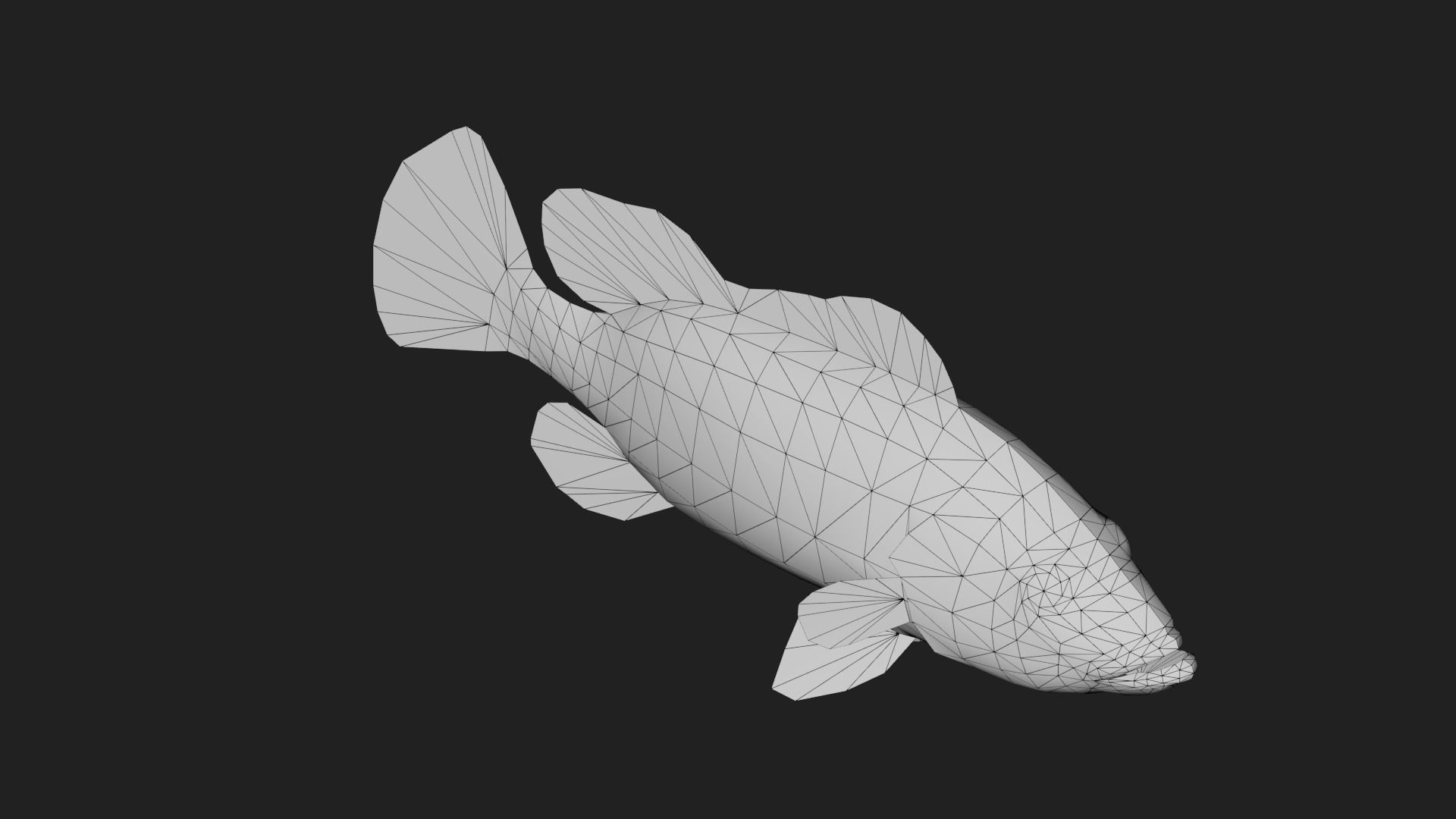 Bass fish Low-poly 3D model_3