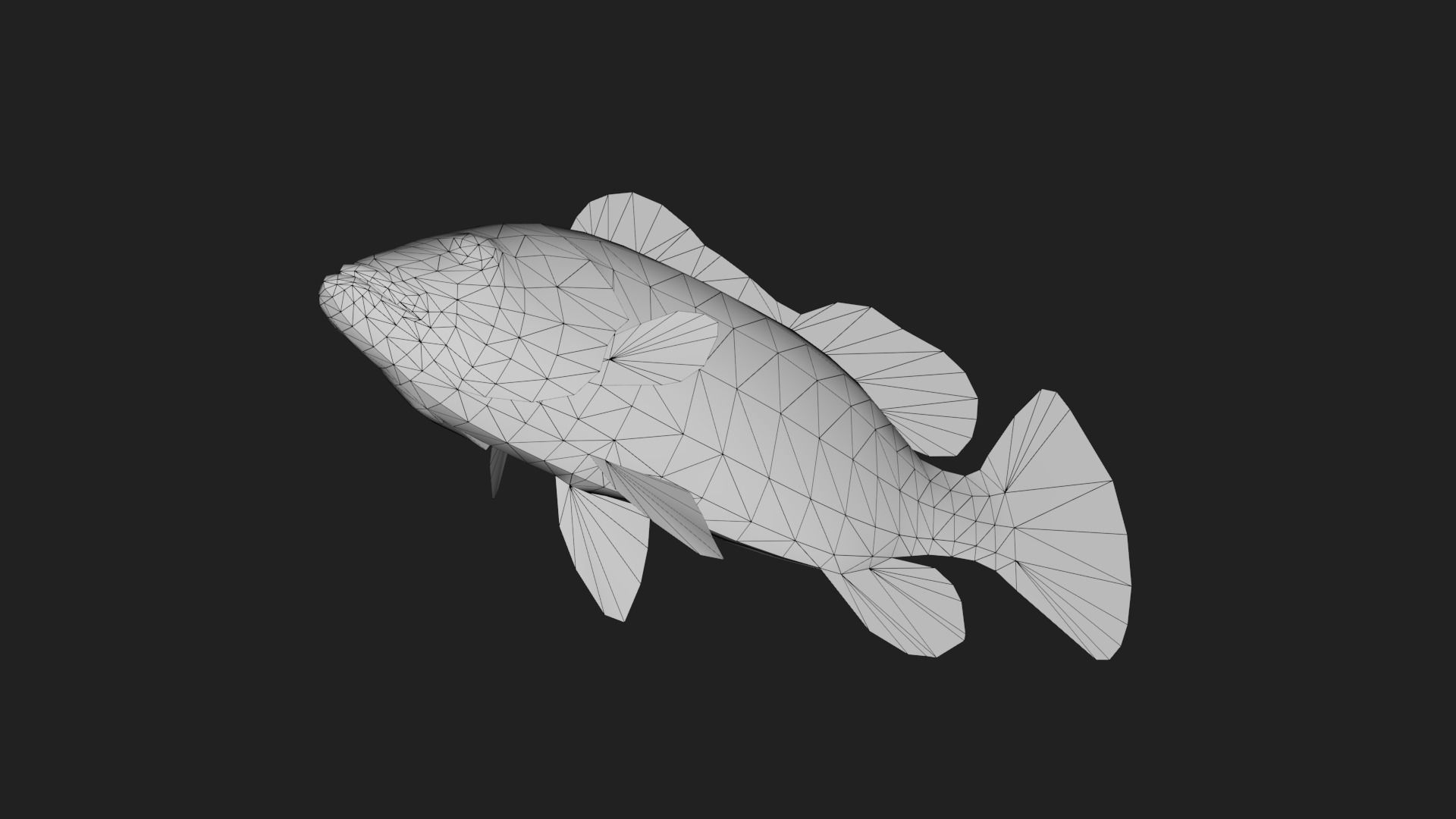 Bass fish Low-poly 3D model_5