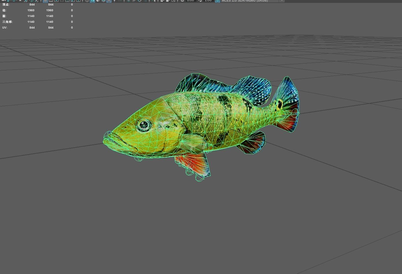 Bass fish Low-poly 3D model_6