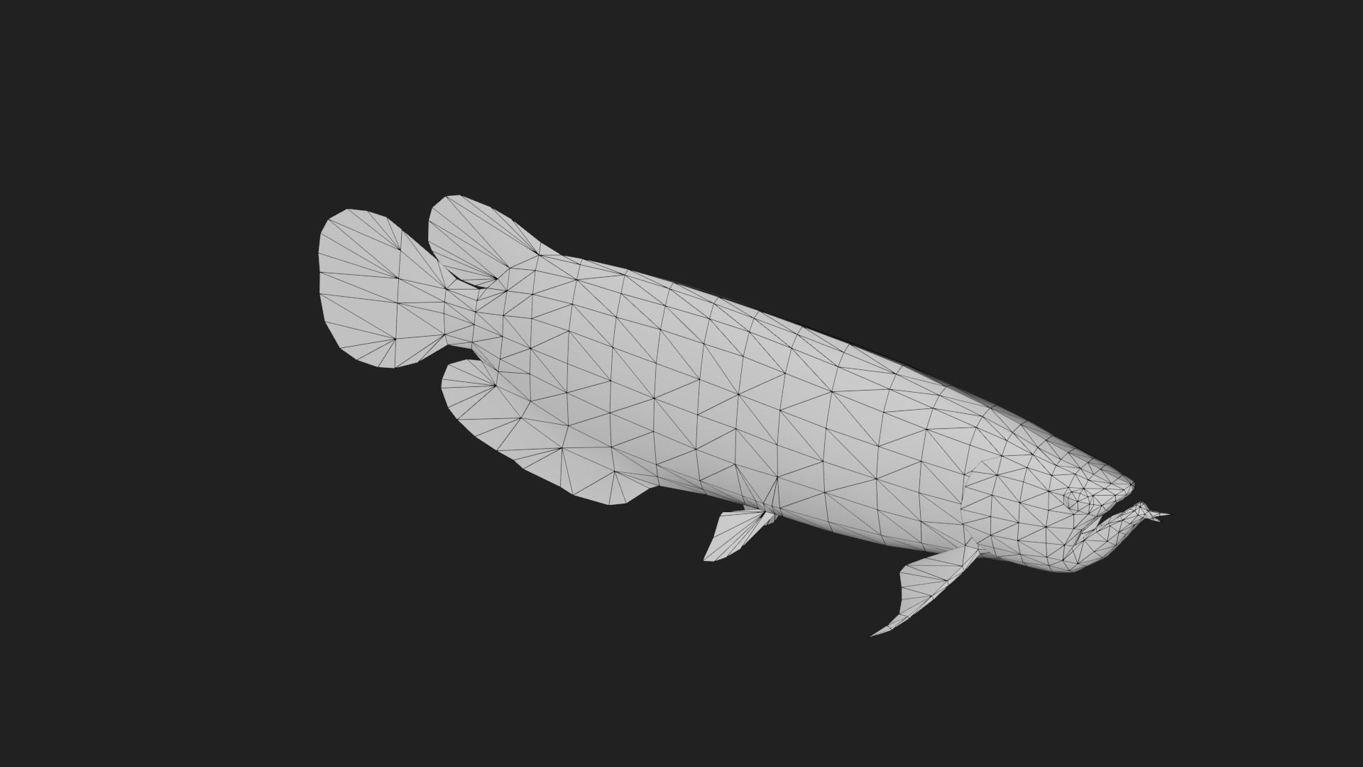 Arowana Low-poly 3D model_3