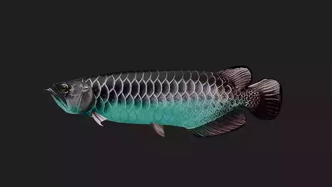 Arowana