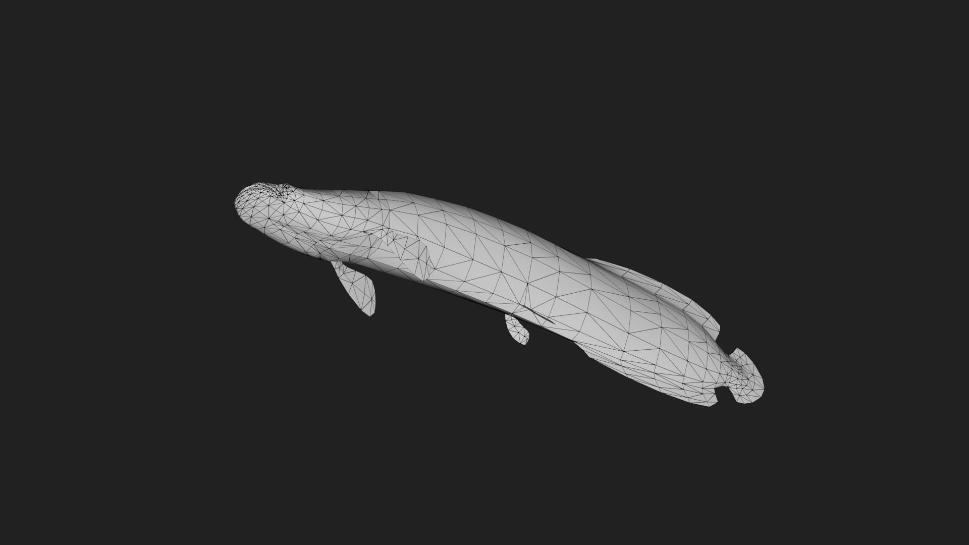 Arapaima Low-poly 3D model_5