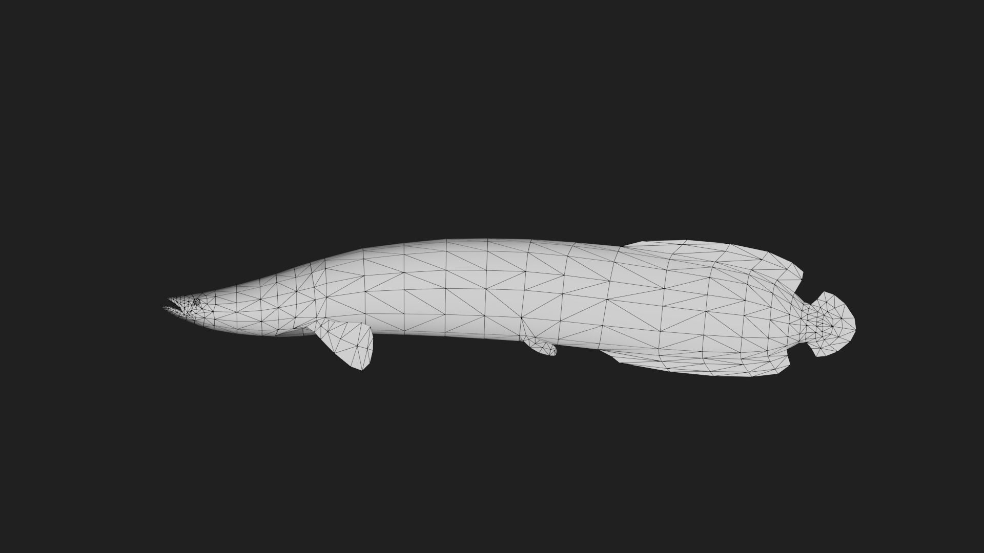 Arapaima Low-poly 3D model_1