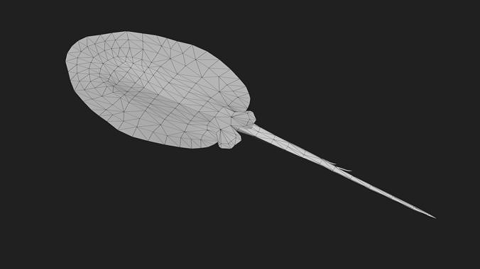 Stingray Low-poly 3D model 4