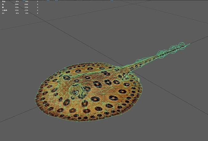 Stingray Low-poly 3D model 5