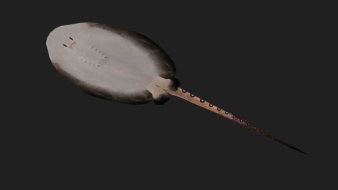 Stingray Low-poly 3D model 3