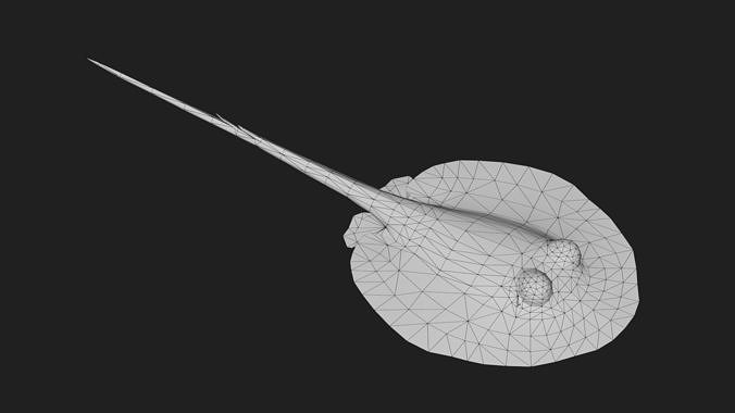 Stingray Low-poly 3D model 2