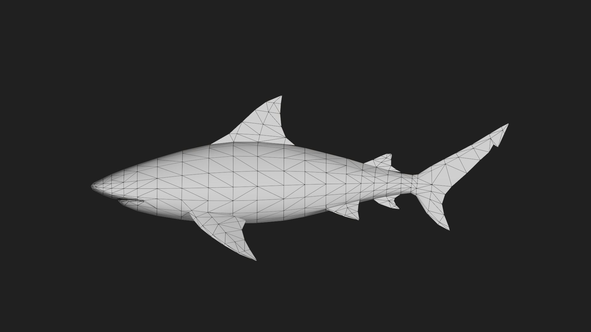 Shark Low-poly 3D model_1