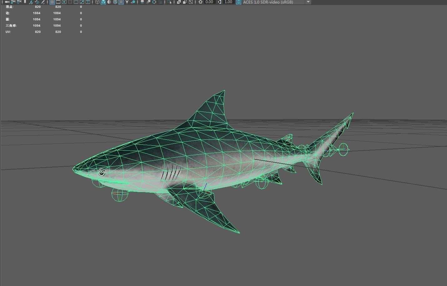 Shark Low-poly 3D model_2