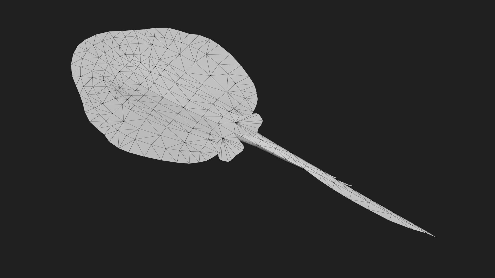 DiscusRay Low-poly 3D model_3