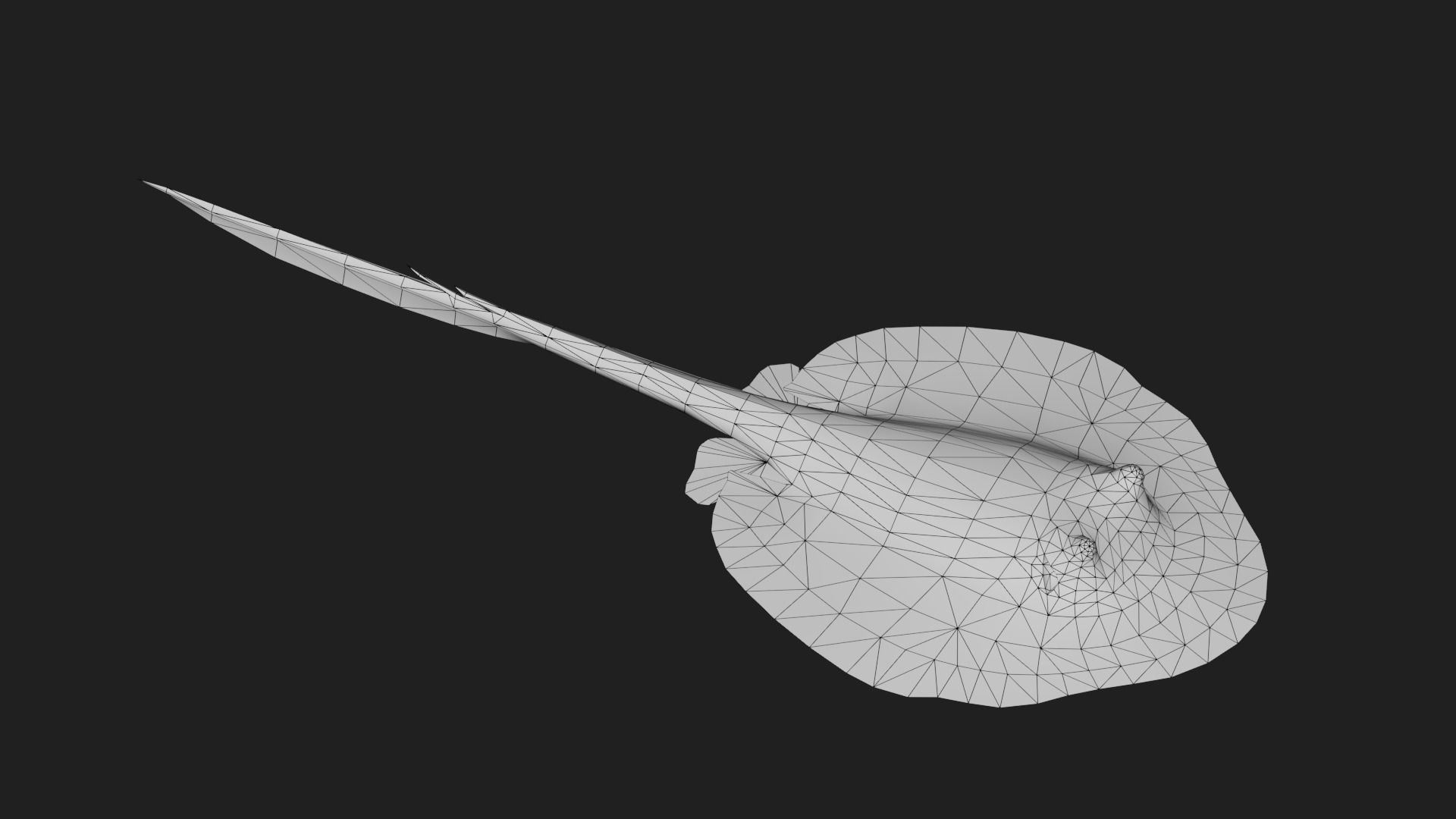 DiscusRay Low-poly 3D model_1