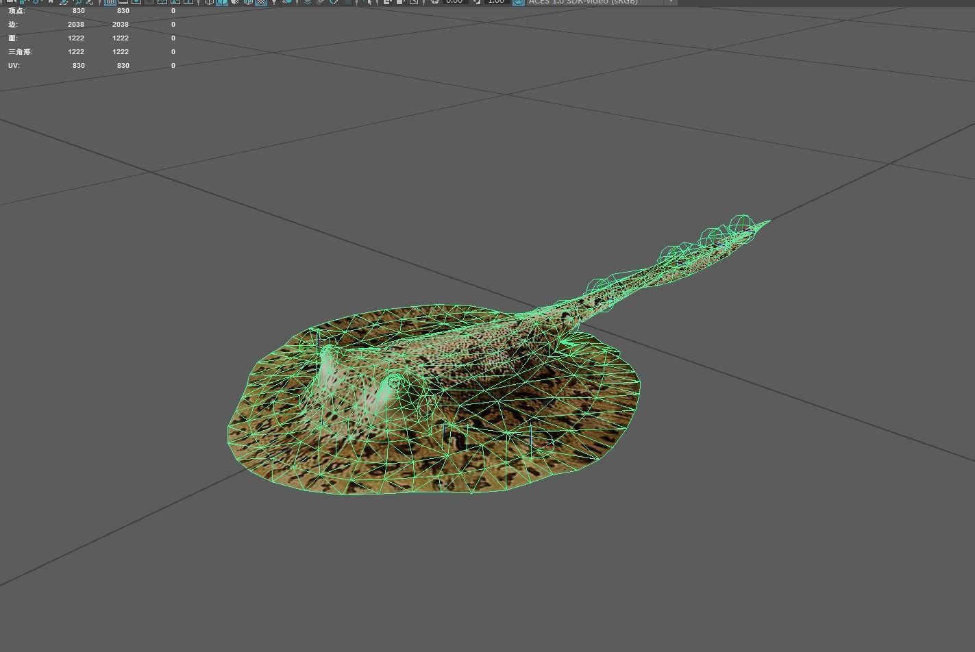 DiscusRay Low-poly 3D model_4