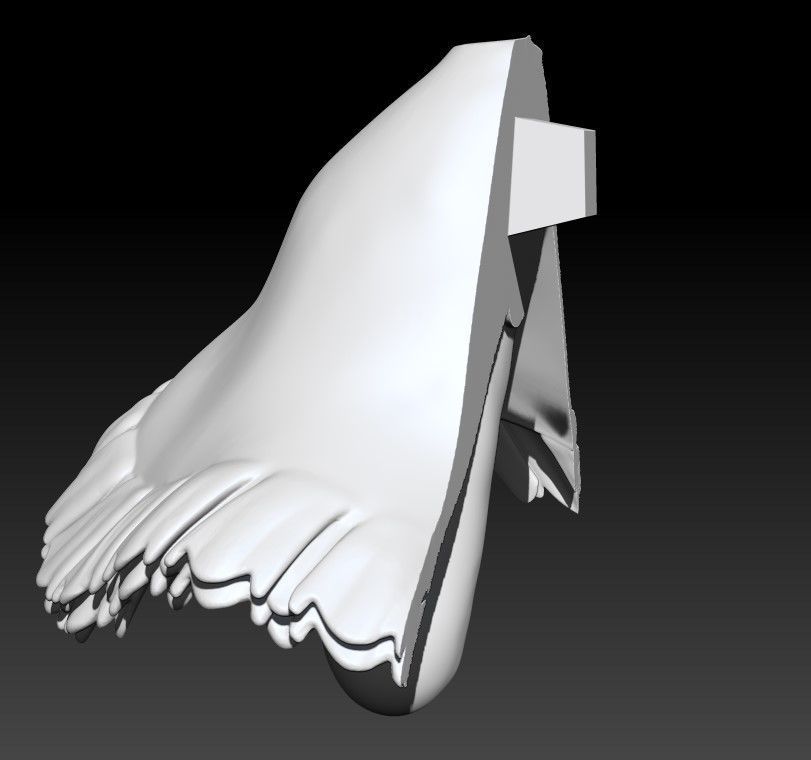 CandyCandy and Capucin 3D print model_27