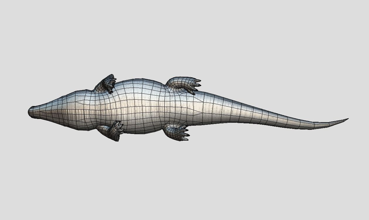 Crocodile Realistic Animated Low-poly 3D model_12