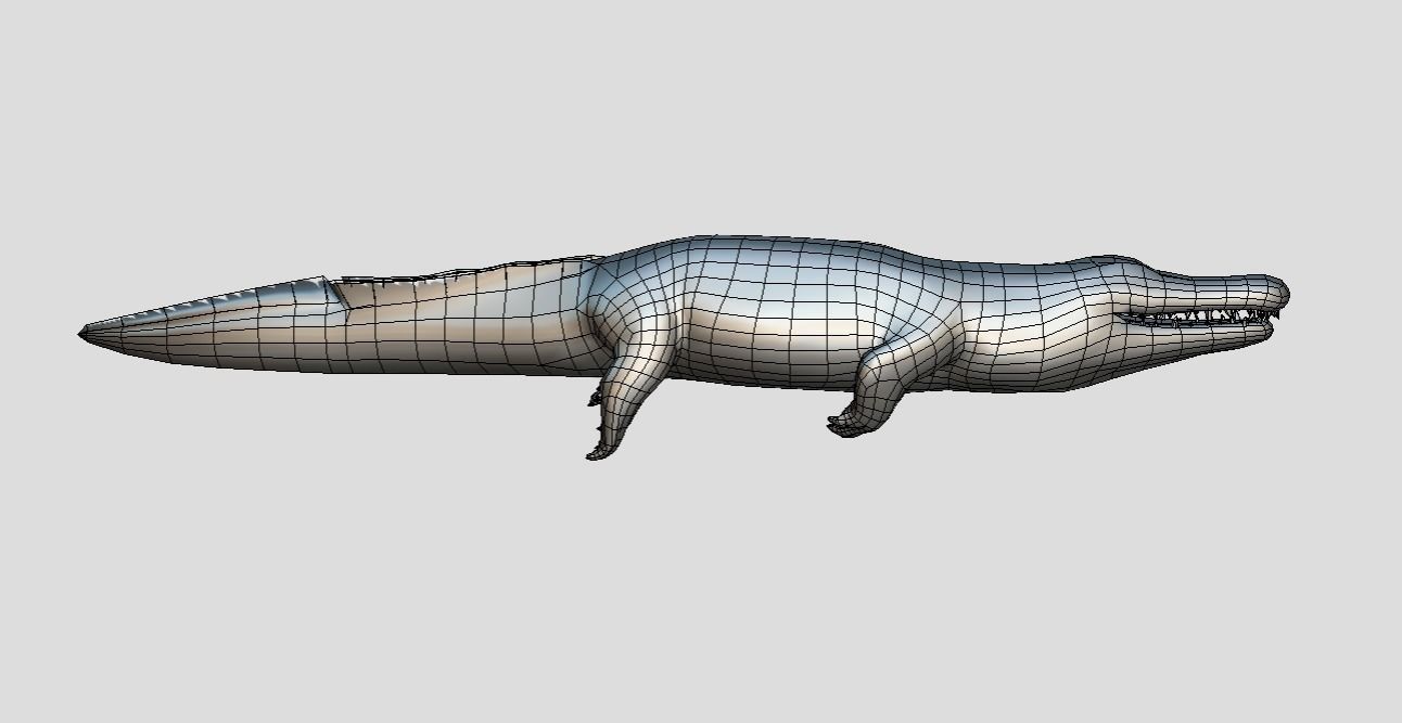 Crocodile Realistic Animated Low-poly 3D model_11