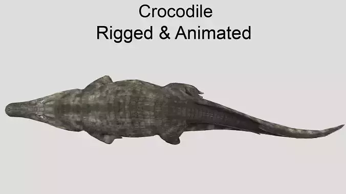 Crocodile Realistic Animated Low-poly 3D model