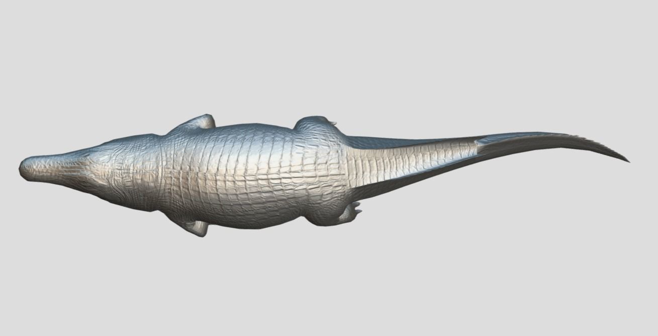 Crocodile Realistic Animated Low-poly 3D model_10
