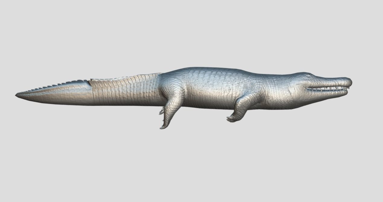 Crocodile Realistic Animated Low-poly 3D model_9