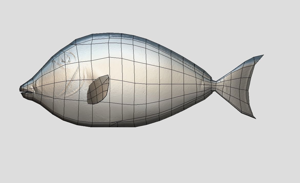 Orange Spine Unicornfish Realistic Animated Low-poly 3D model_3