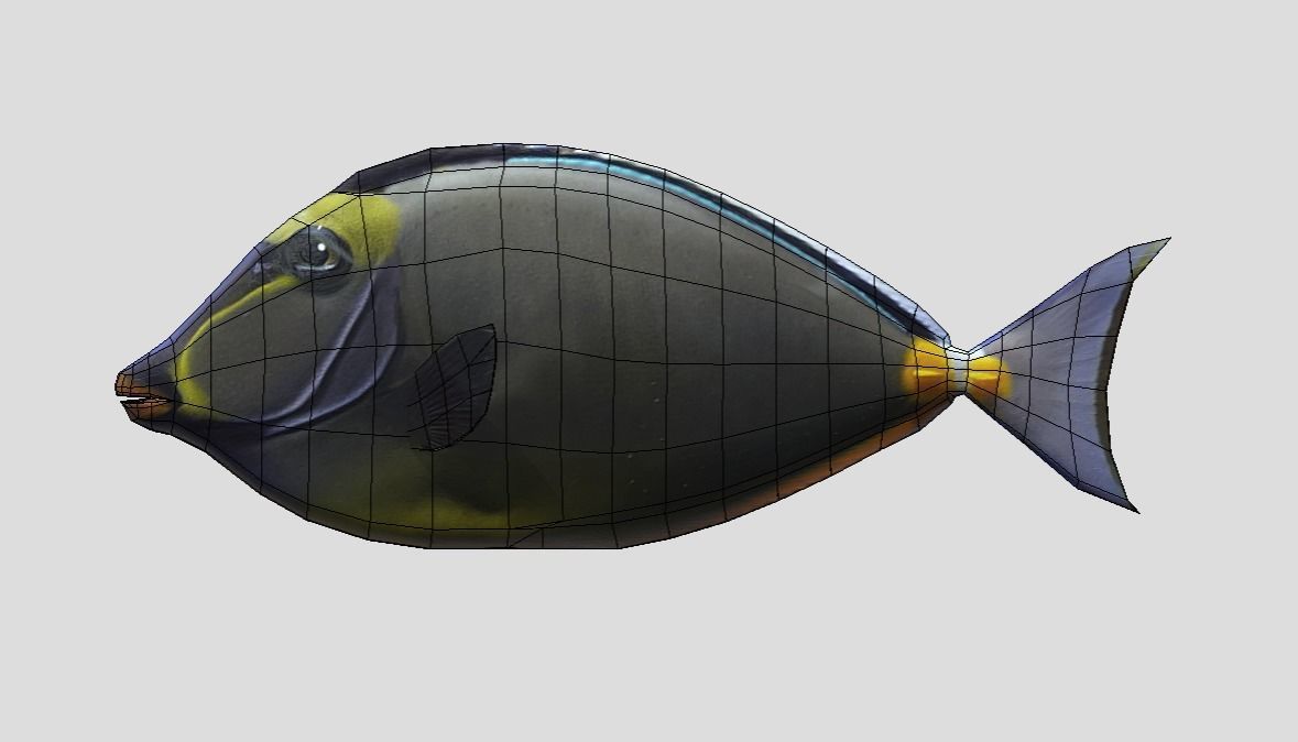 Orange Spine Unicornfish Realistic Animated Low-poly 3D model_2