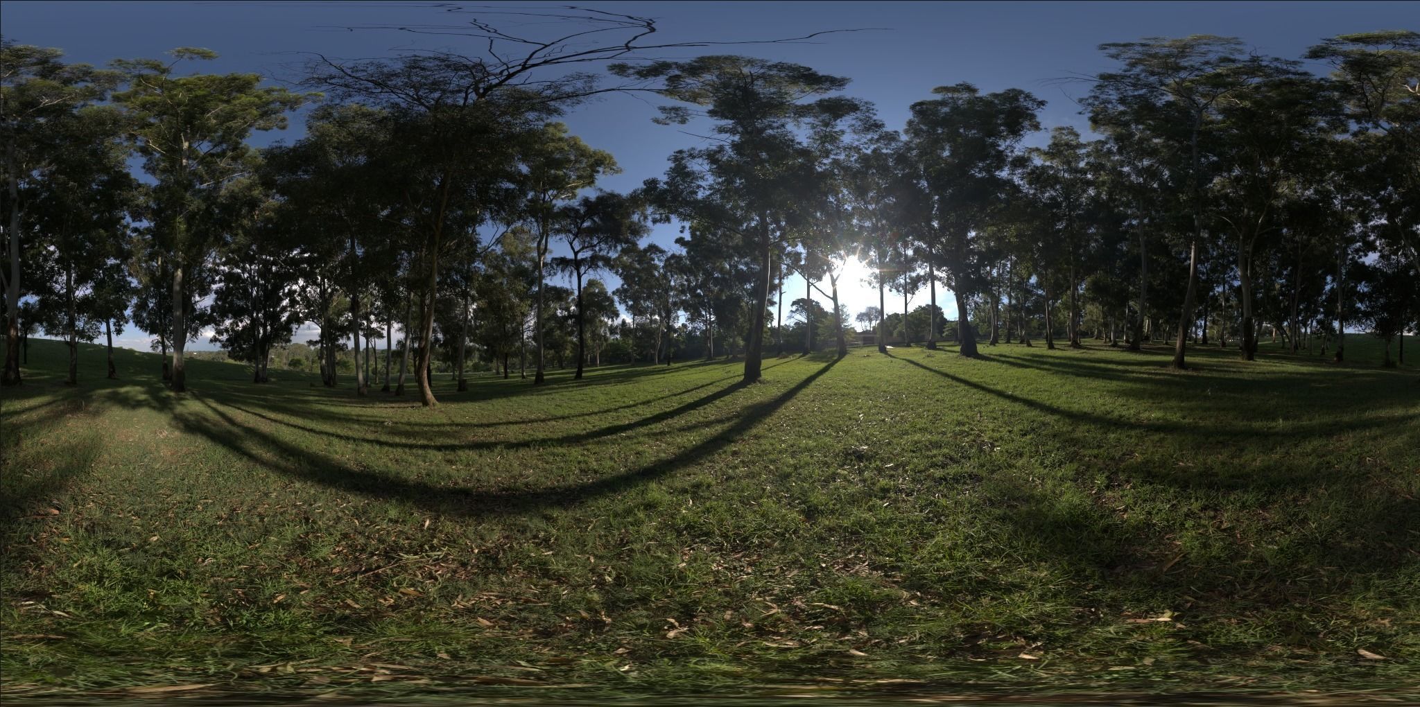 Viking Axe A 9th Century weapon 3D  Low-poly 3D model_6