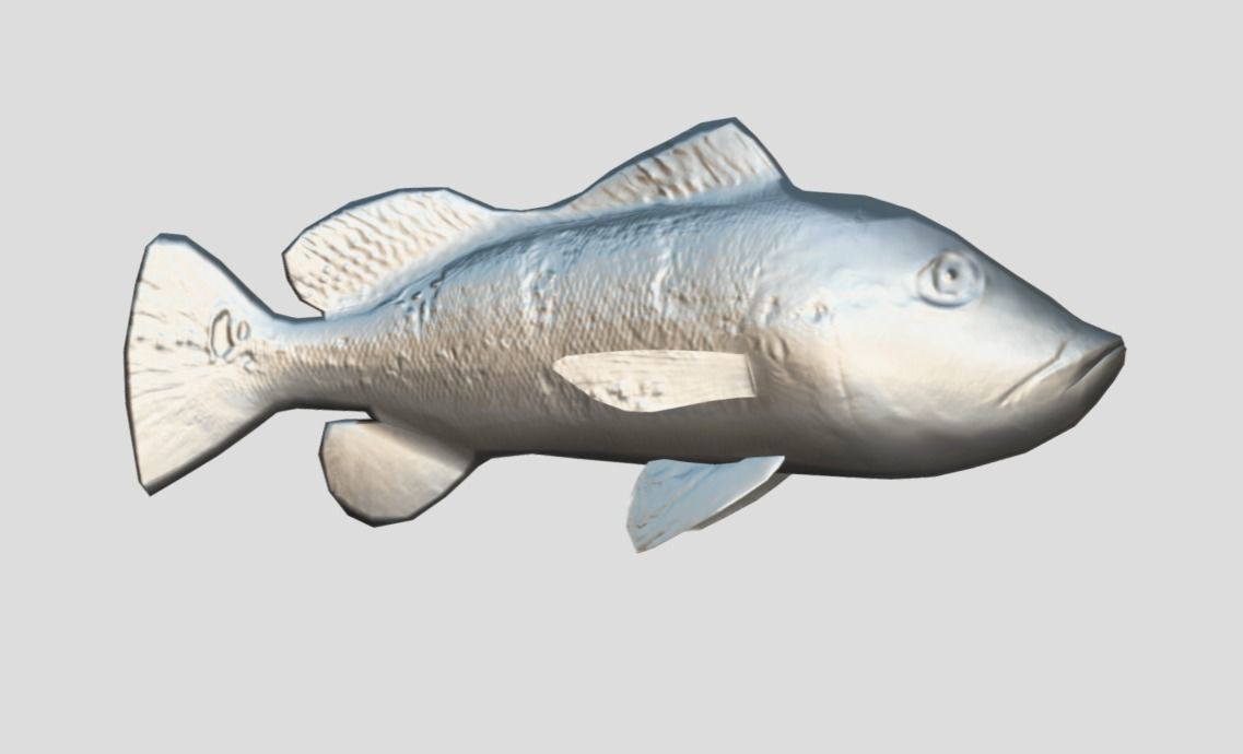 Peacock Bass Realistic Animated Low-poly 3D model_5