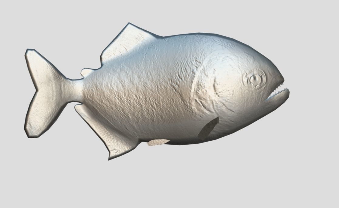 Piranha Realistic Animated Low-poly 3D model_7