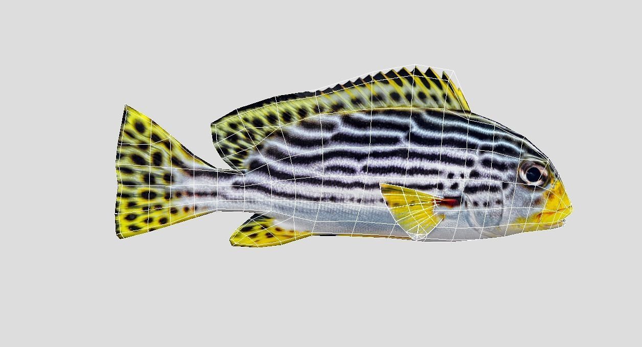 Red Rockfish Realistic Animated Low-poly 3D model_2
