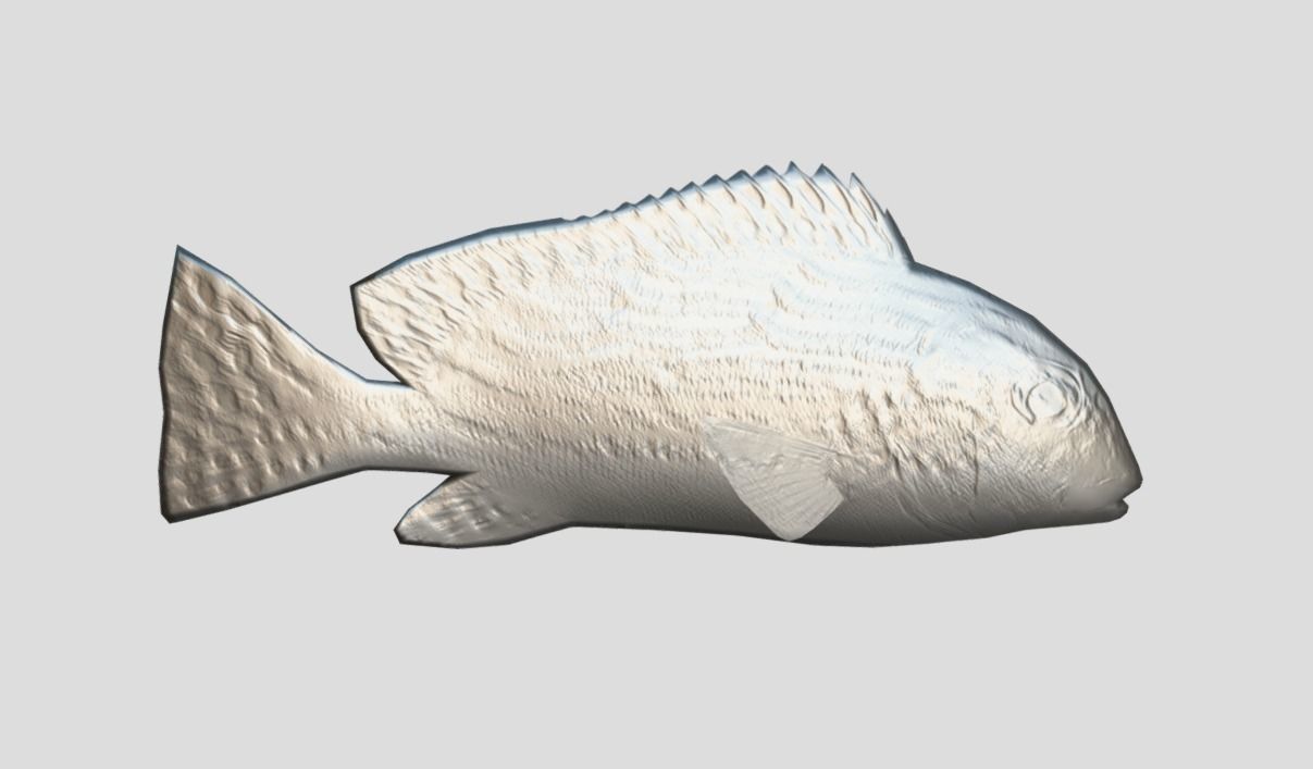 Red Rockfish Realistic Animated Low-poly 3D model_3