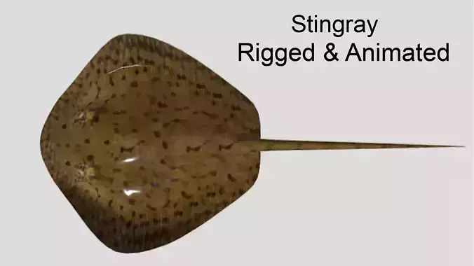 Stingray Realistic Animated Low-poly 3D model