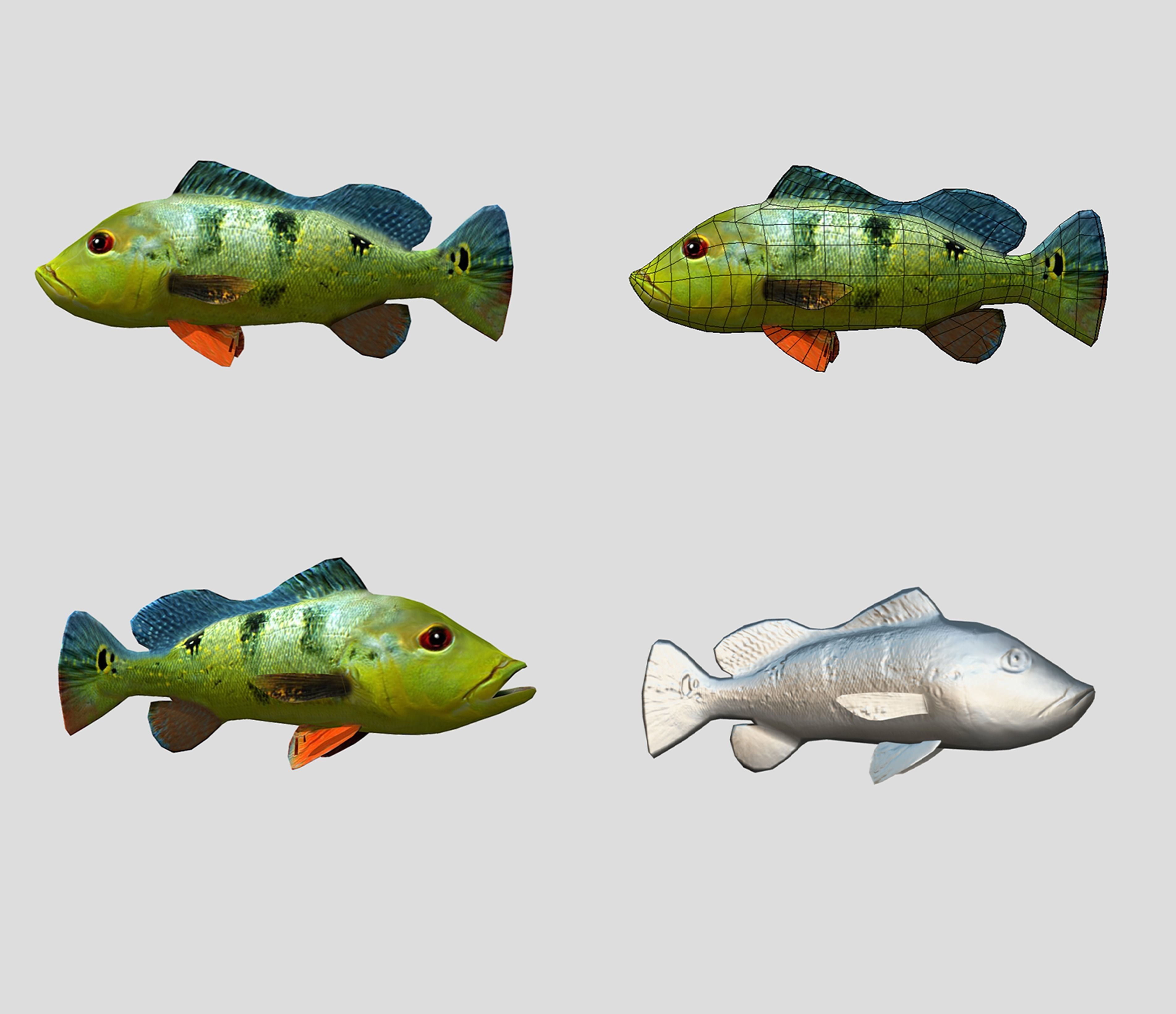 Fish Collection Animated - Game Ready Pack 5 Low-poly 3D model_29