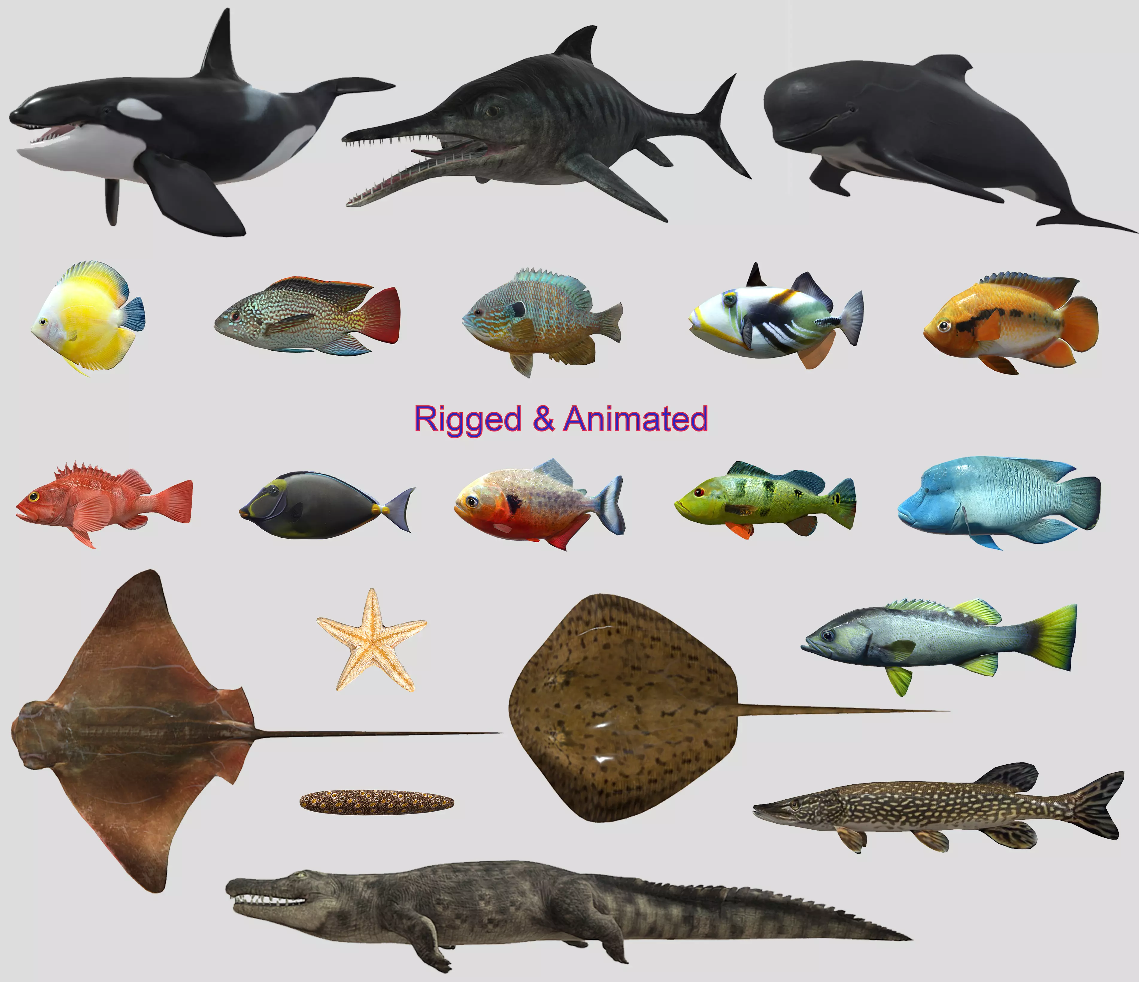Fish Collection Animated - Game Ready Pack 5 Low-poly 3D model_0